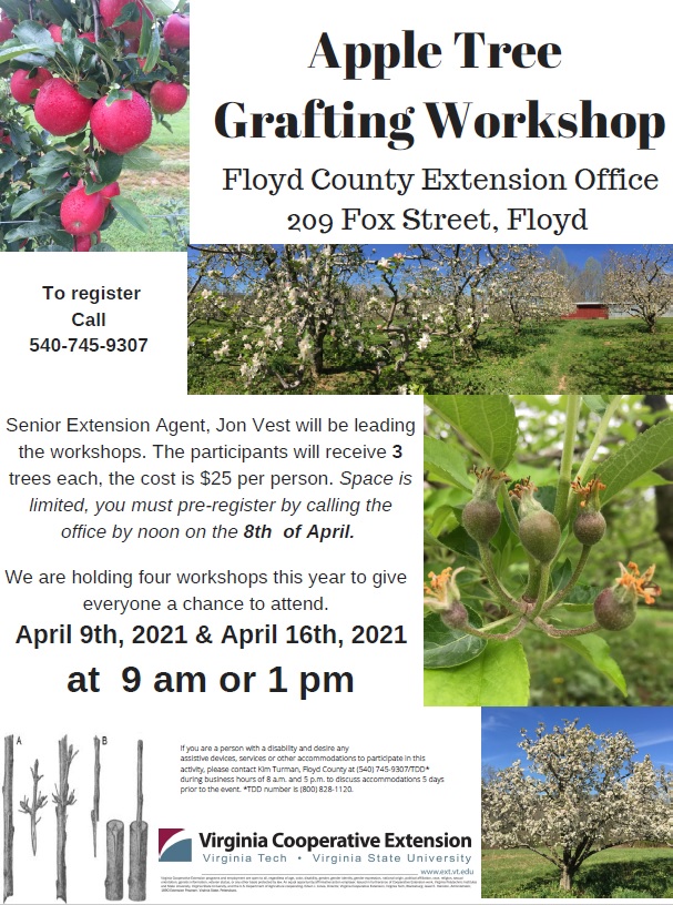 Apple Tree Grafting Workshop